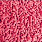 Vitafitt Sticks Red tavi haltáp 1L