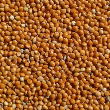 Vitafitt vörösköles 600ml/450g