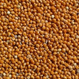 Vitafitt vörösköles 1kg