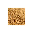 Vitafitt zab 600ml/300g