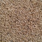 Vitafitt fénymag 600ml/400g