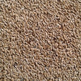 Vitafitt fénymag 600ml/400g