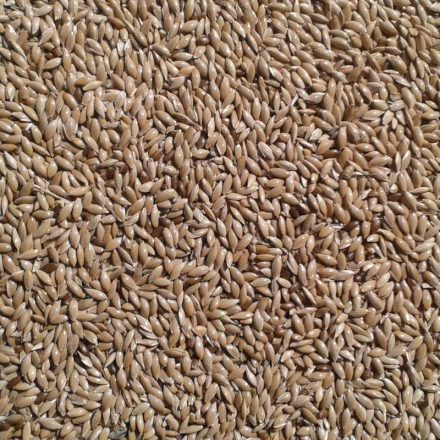 Vitafitt fénymag 600ml/400g