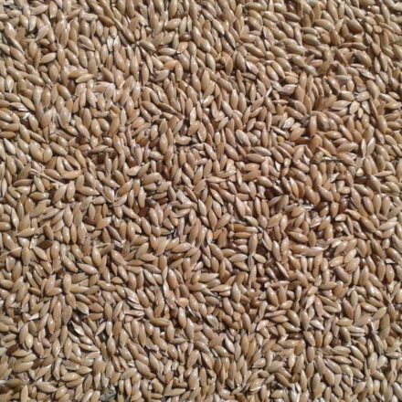 Vitafitt fénymag 600ml/400g