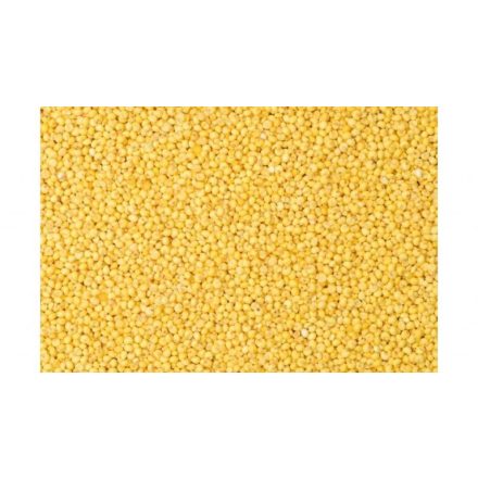 Vitafitt sárgaköles 600ml/450g