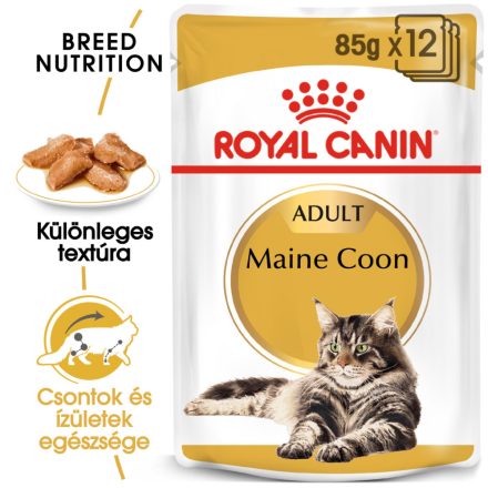 Royal Canin Maine Coon Wet 12*85g
