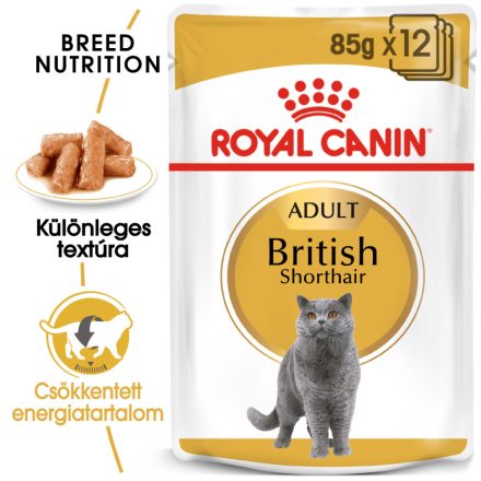 Royal Canin British Shorthair Wet 12*85g