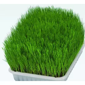Vitafitt macskafű 200 g