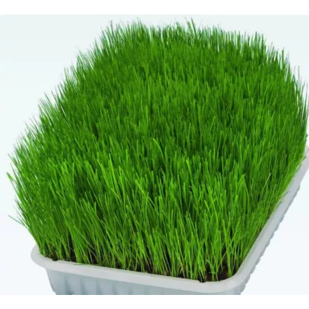 Vitafitt macskafű 200 g