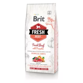 Brit Fresh Beef with Pumpkin Puppy Large 12kg