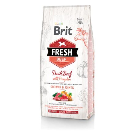 Brit Fresh Beef with Pumpkin Puppy Large 12kg