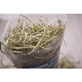 Bunny Yummy Timothy széna 800g