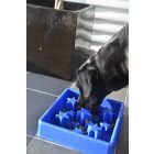 Eat Slow Live Longer Evéslassító Star Green "S"