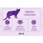 Happy Cat Minkas Urinary Care 10kg