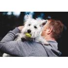 KONG Air Squeaker Tennis Ball M 6,3 cm 1 db-os