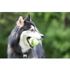 KONG Air Squeaker Tennis Ball M 6,3 cm 1 db-os