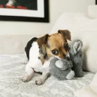 KONG Comfort Kiddos Elephant XS