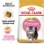 Royal Canin Persian Kitten 2kg