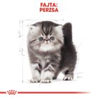 Royal Canin Persian Kitten 2kg