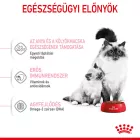 Royal Canin Mother&Babycat 2kg