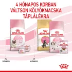 Royal Canin Mother&Babycat 2kg