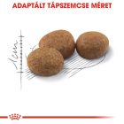 Royal Canin Sterilised 37 4kg