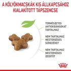 Royal Canin Kitten 2kg