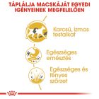 Royal Canin Siamese Adult 2kg