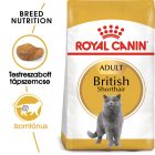 Royal Canin British Shorthair Adult 2kg