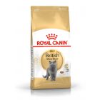 Royal Canin British Shorthair Adult 2kg