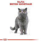 Royal Canin British Shorthair Adult 2kg