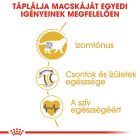 Royal Canin British Shorthair Adult 2kg