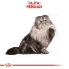 Royal Canin Persian Adult 10kg