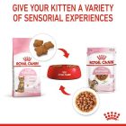 Royal Canin Kitten Sterilised 2kg