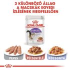 Royal Canin Sterilised Gravy 12*85g