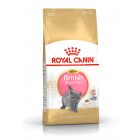 Royal Canin British Shorthair Kitten 2kg