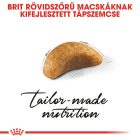 Royal Canin British Shorthair Kitten 2kg