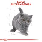 Royal Canin British Shorthair Kitten 2kg