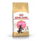 Royal Canin Maine Coon Kitten 2kg