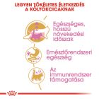 Royal Canin Maine Coon Kitten 2kg