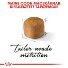 Royal Canin Maine Coon Kitten 2kg