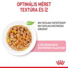 Royal Canin Kitten Chunks in jelly 12*85g