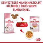 Royal Canin Kitten Chunks in jelly 12*85g