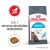 Royal Canin Urinary Care 2kg