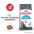 Royal Canin Urinary Care 10kg