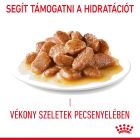 Royal Canin Urinary Care 12*85g