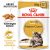 Royal Canin Maine Coon Wet 12*85g