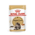 Royal Canin Maine Coon Wet 12*85g