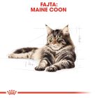Royal Canin Maine Coon Wet 12*85g