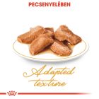 Royal Canin Maine Coon Wet 12*85g